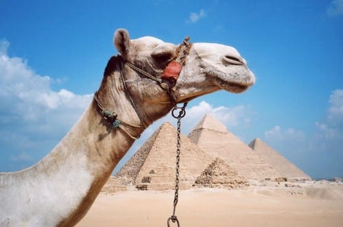 dovolena v egypte
