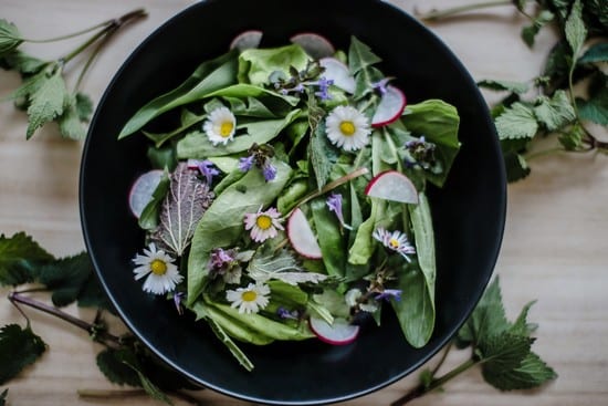 salat-jarni-bylinky
