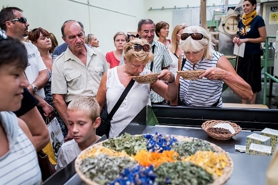bylinkovÃ© slavnosti